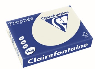 Kopieerpapier Trophee 1041 A4 160gr parelgrijs 250vel