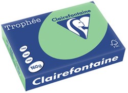 Kopieerpapier Trophee 1120 A4 160gr natuurgroen 250vel