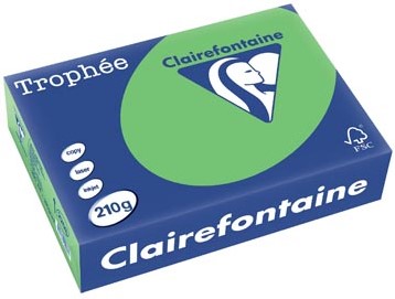 Kopieerpapier Trophee 2208 A4 210gr grasgroen 250vel