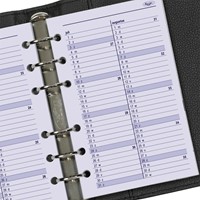 Agendavulling 2026 Kalpa Senior 1dag/1pagina-1