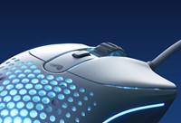 Extra afbeelding voor GLO-810069975283