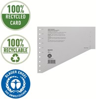 Scheidingsbladen Leitz A4 karton 200gr 11-gaats grijs 100 stuks-2