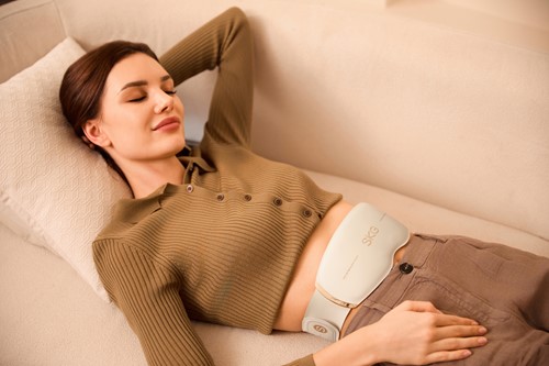 Extra afbeelding voor SKG-GS500