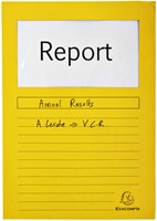 Venstermap Exacompta Forever L-model 120gr assorti 100 stuks-4