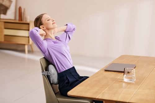 Extra afbeelding voor SKG-T1-2PRO