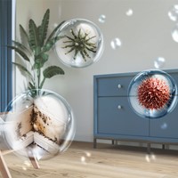 Philips 2000 series Origineel vervangend filter FY2422/30 met NanoProtect HEPA-3