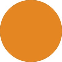 Brushstift STABILO Pen 568/54 oranje-1
