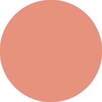 Brushstift STABILO Pen 568/26 abrikoos-1