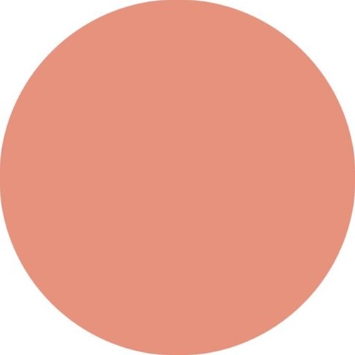 Brushstift STABILO Pen 568/26 abrikoos-1