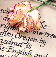 Fineliner Staedtler Pigment 308 zwart 0.05mm-3