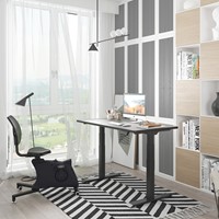 Bureaufiets Euroseats Ross-3