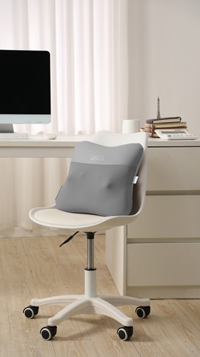 Extra afbeelding voor SKG-VS500