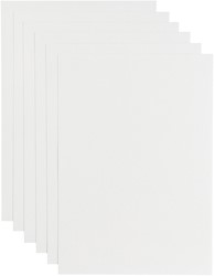 Kopieerpapier Papicolor A4 100gr 12 vel wit