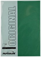 Kopieerpapier Papicolor A4 100gr 12 vel dennengroen-2