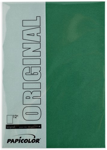 Kopieerpapier Papicolor A4 100gr 12 vel dennengroen-2