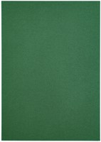 Kopieerpapier Papicolor A4 100gr 12 vel dennengroen-3