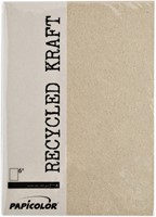 Kopieerpapier Papicolor A4 100gr 12 vel kraft grijs-2
