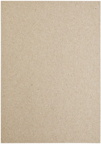 Kopieerpapier Papicolor A4 220gr 6 vel kraft grijs-3