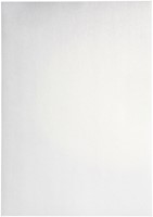 Kopieerpapier Papicolor A4 120gr 6 vel metallic parelwit-3