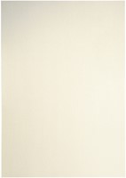 Kopieerpapier Papicolor A4 300gr 3 vel metallic ivoor-2