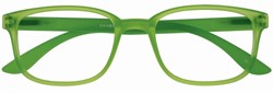 Leesbril I Need You +2.00 dtp Rainbow groen