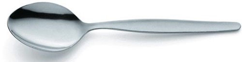 Theelepel Amefa roestvrij staal 12 stuks