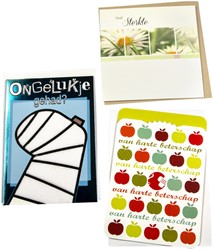 Navulset Paperclip wenskaart beterschap 12 kaarten