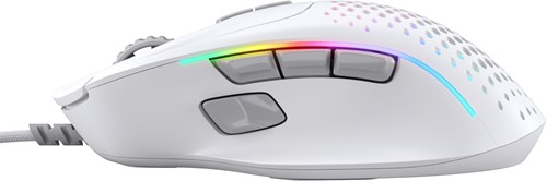 Extra afbeelding voor GLO-810069975887