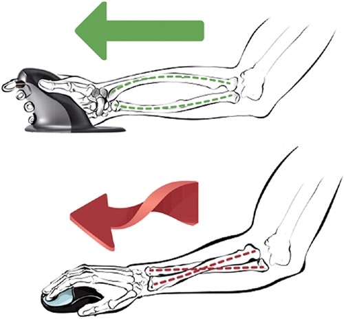 Ergonomische muis Fellowes Penguin draadloos large-2