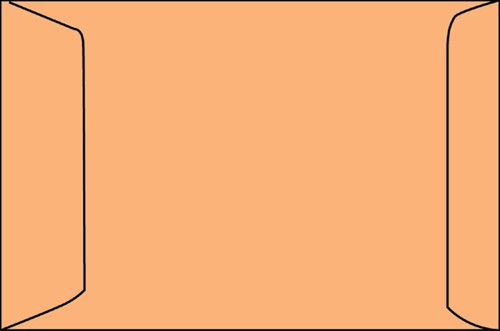 Envelop akte IEZZY 250x350mm zelfklevend 90gr bruin 250 stuks-2