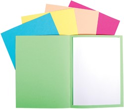 Vouwmap Exacompta Forever A4 170gr assorti 100 stuks