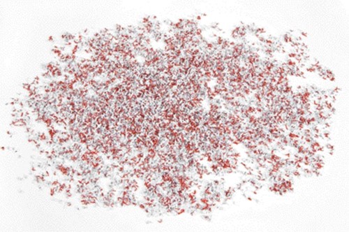 Papiervernietiger HSM Securio B24 snippers 0.78x11mm-3