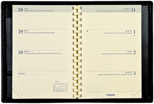 Agendavulling 2025 Delta 7dag/2pagina