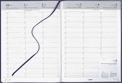 Agenda 2025 Brepols Omega 7dag/2pagina's blauw