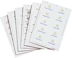 Badgekaart Durable 1451 bedrukbaar 30x60mm 540 stuks