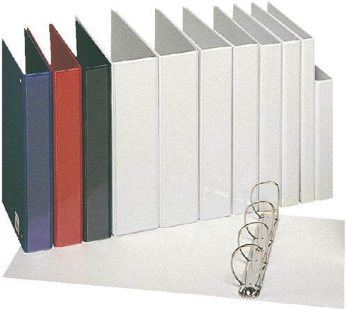 Presentatieringband Esselte panorama A4 4-rings D-mechaniek 30mm PP blauw-2