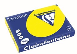 A3 160grs gekleurd papier