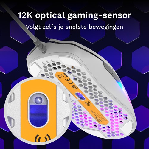 Extra afbeelding voor GLO-840408304108