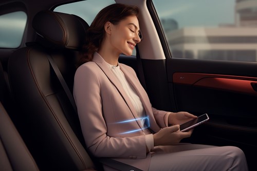 Extra afbeelding voor SKG-W9PRO