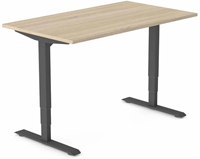 Huislijn Flexframe bureautafel, elektrisch verstelbaar 