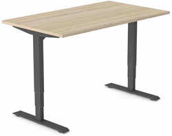 Huislijn Flexframe bureautafel, elektrisch verstelbaar 