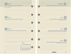 Organiser inhoud 7dag/2pag