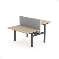 Zit sta bureau duo